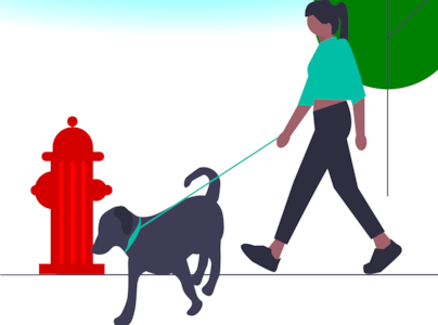 Woman walking dog