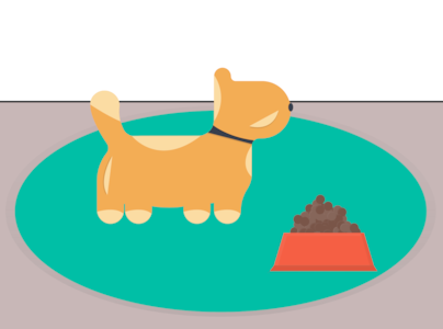 Dog eating from food bowl